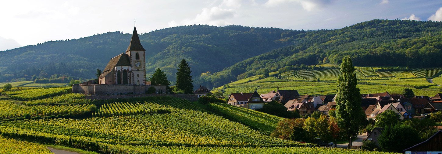 Vignoble Alsacien